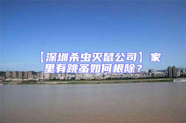 【深圳殺蟲滅鼠公司】家里有跳蚤如何根除?