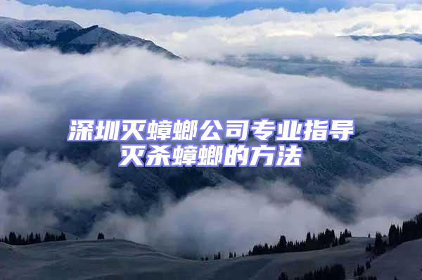 深圳滅蟑螂公司專業指導滅殺蟑螂的方法