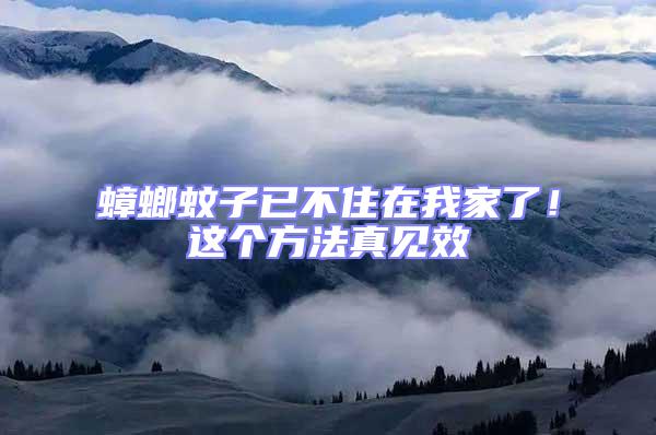 蟑螂蚊子已不住在我家了!這個方法真見效