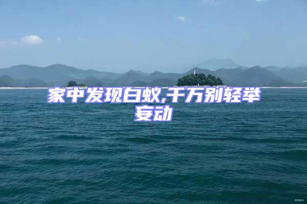 家中發(fā)現(xiàn)白蟻,千萬(wàn)別輕舉妄動(dòng)