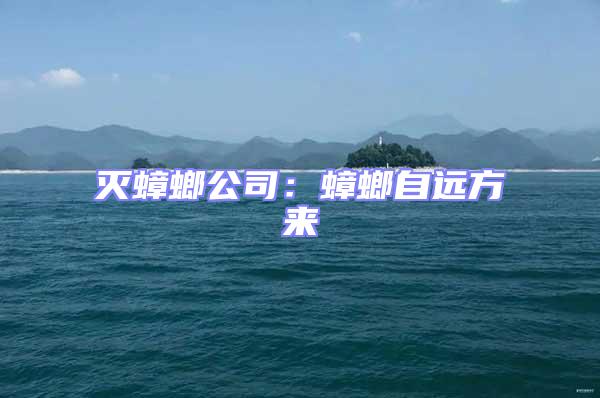 滅蟑螂公司:蟑螂自遠方來