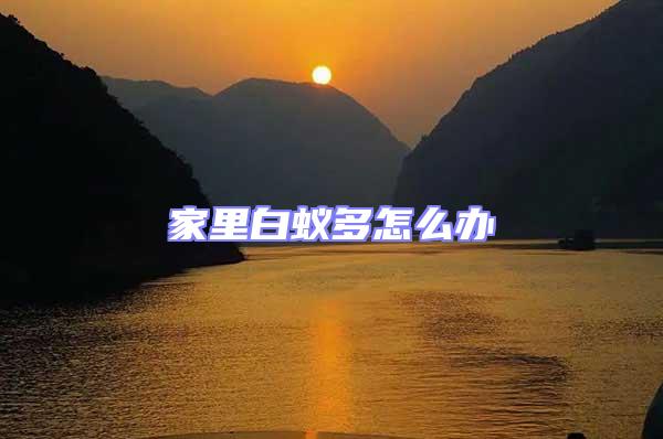 家里白蟻多怎么辦