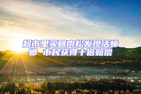 超市里買回肉松發現活蟑螂 市民獲得十倍賠償