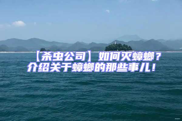 【殺蟲公司】如何滅蟑螂？介紹關于蟑螂的那些事兒！