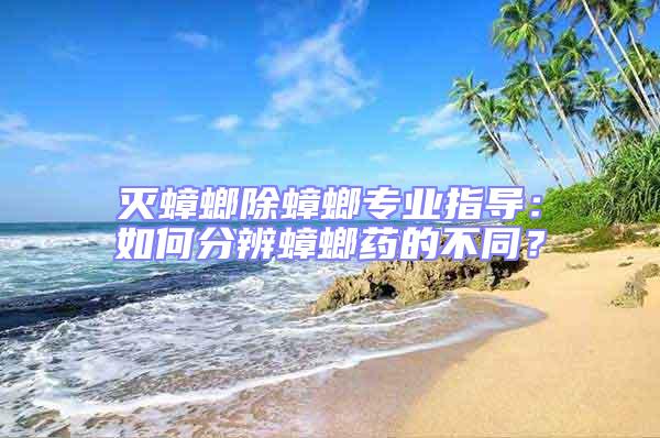 滅蟑螂除蟑螂專業指導:如何分辨蟑螂藥的不同?