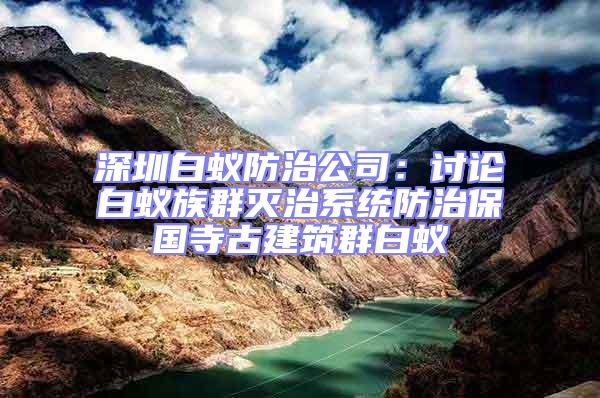 深圳白蟻防治公司：討論白蟻?zhàn)迦簻缰蜗到y(tǒng)防治保國寺古建筑群白蟻