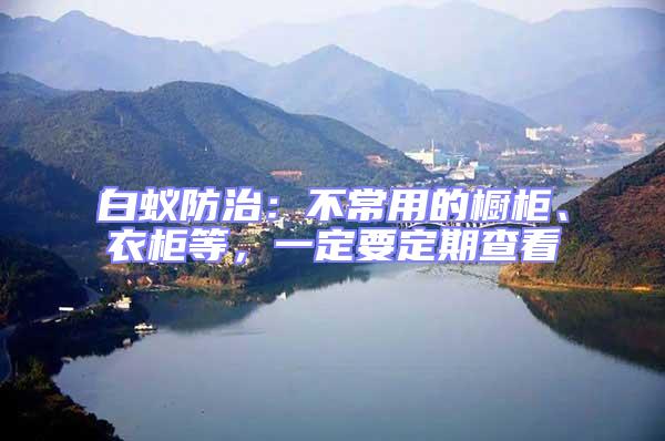 白蟻防治:不常用的櫥柜、衣柜等,一定要定期查看