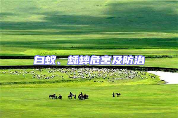 白蟻、蟋蟀危害及防治