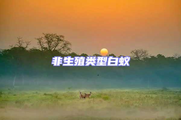 非生殖類(lèi)型白蟻