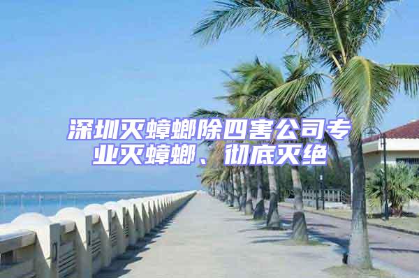 深圳滅蟑螂除四害公司專業滅蟑螂、徹底滅絕