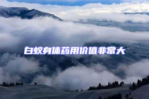 白蟻身體藥用價(jià)值非常大