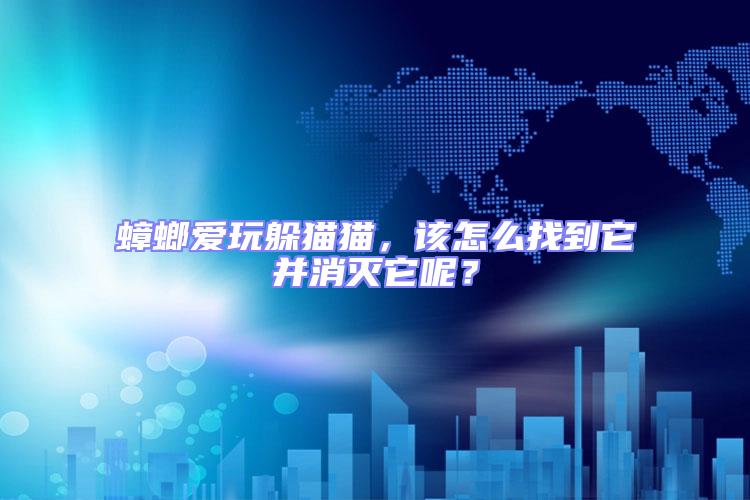蟑螂愛玩躲貓貓，該怎么找到它并消滅它呢？