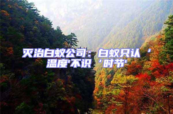 滅治白蟻公司:白蟻只認‘溫度'不識‘時節'