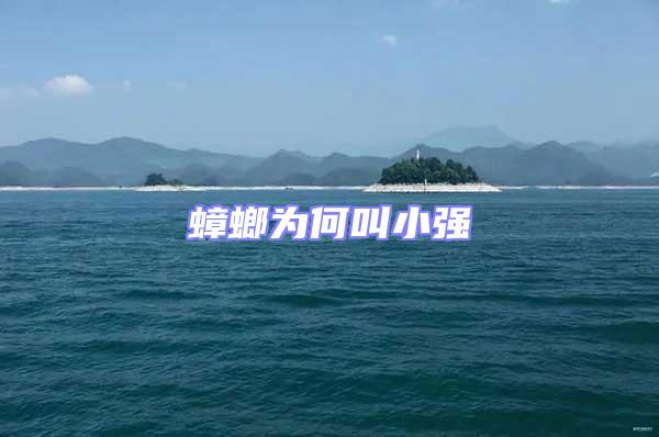 蟑螂為何叫小強