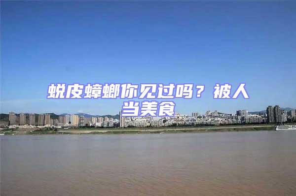 蛻皮蟑螂你見過嗎?被人當(dāng)美食