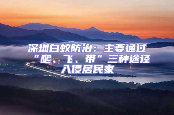 深圳白蟻防治：主要通過“爬、飛、帶”三種途徑入侵居民家