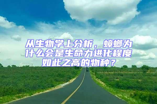 從生物學上分析,蟑螂為什么會是生命力進化程度如此之高的物種?