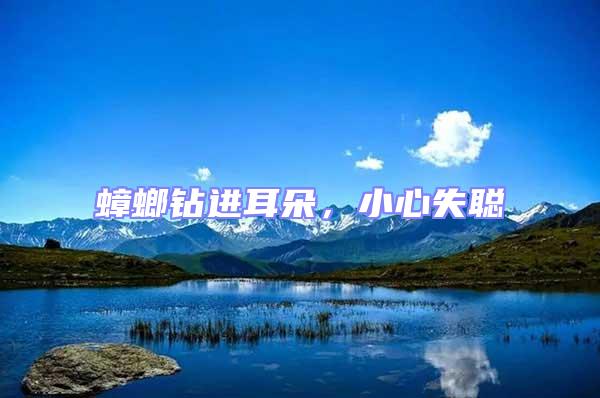 蟑螂鉆進(jìn)耳朵,小心失聰