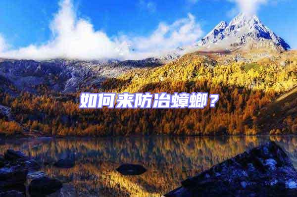 如何來(lái)防冶蟑螂？