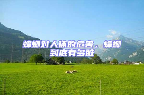 蟑螂對(duì)人體的危害,蟑螂到底有多臟