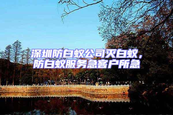 深圳防白蟻公司滅白蟻,防白蟻服務急客戶所急