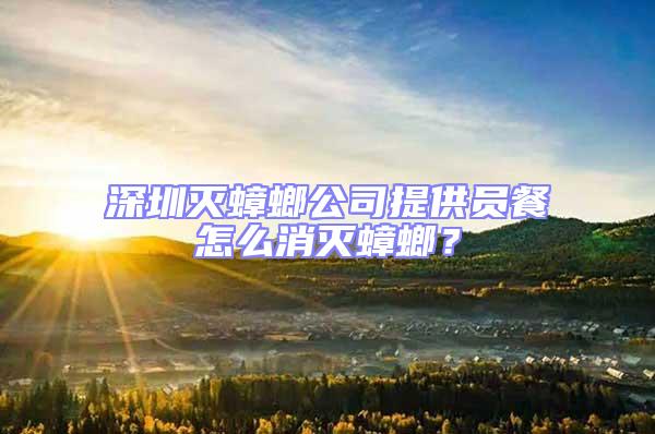 深圳滅蟑螂公司提供員餐怎么消滅蟑螂？