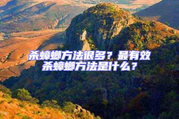 殺蟑螂方法很多？最有效殺蟑螂方法是什么？