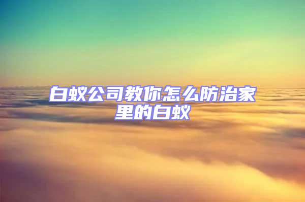 白蟻公司教你怎么防治家里的白蟻