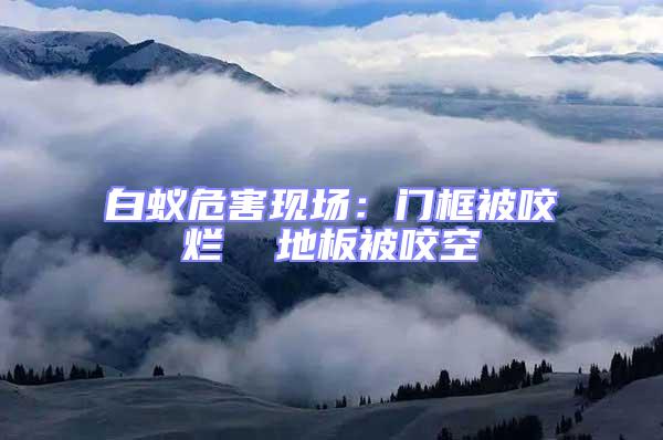 白蟻危害現(xiàn)場:門框被咬爛 地板被咬空