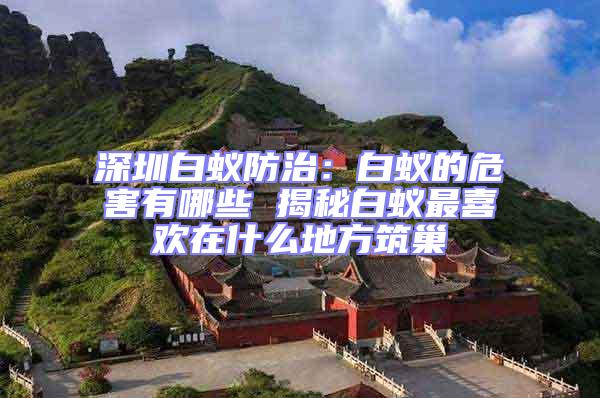 深圳白蟻防治:白蟻的危害有哪些 揭秘白蟻最喜歡在什么地方筑巢
