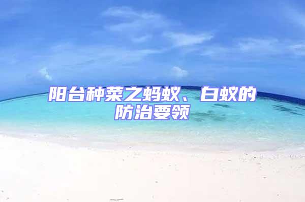 陽臺種菜之螞蟻、白蟻的防治要領(lǐng)
