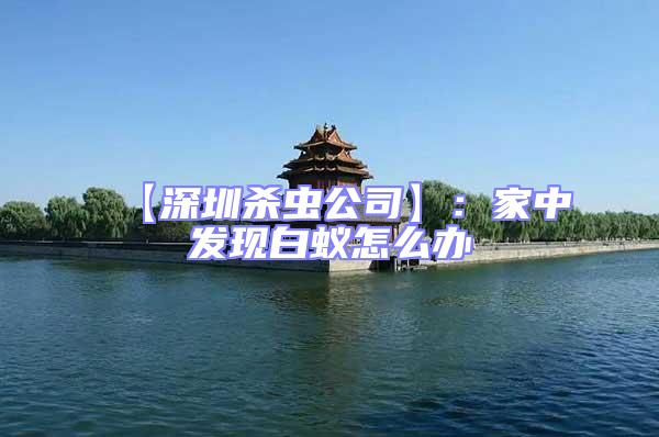 【深圳殺蟲公司】:家中發(fā)現(xiàn)白蟻怎么辦