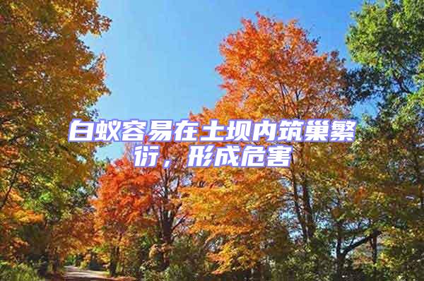 白蟻容易在土壩內筑巢繁衍,形成危害