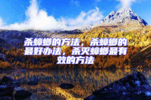 殺蟑螂的方法,殺蟑螂的最好辦法,殺滅蟑螂最有效的方法