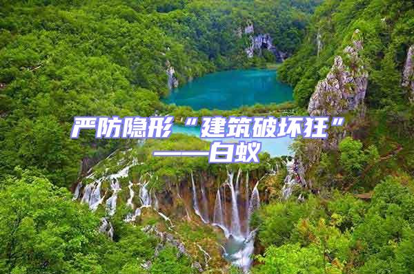 嚴(yán)防隱形“建筑破壞狂”——白蟻