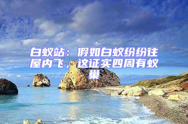 白蟻站：假如白蟻紛紛往屋內飛，這證實四周有蟻巢