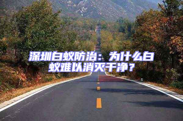 深圳白蟻防治：為什么白蟻難以消滅干凈？