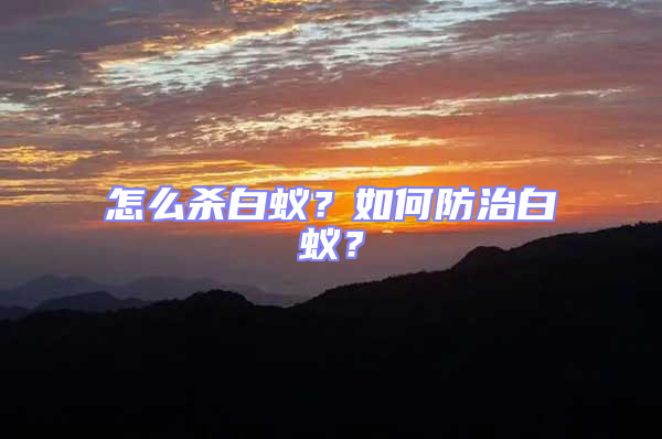 怎么殺白蟻？如何防治白蟻？