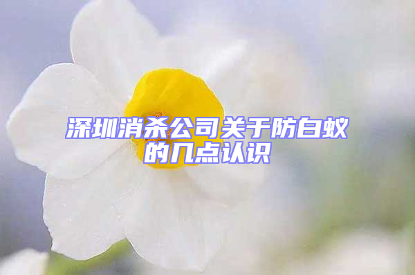 深圳消殺公司關(guān)于防白蟻的幾點(diǎn)認(rèn)識