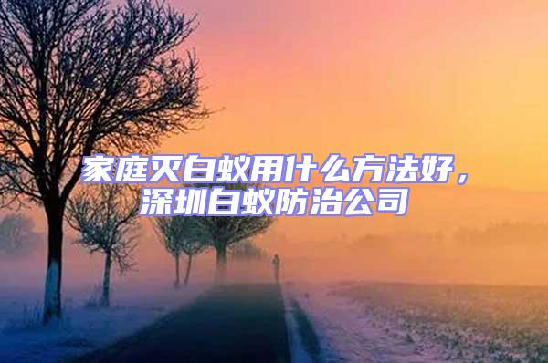 家庭滅白蟻用什么方法好,深圳白蟻防治公司