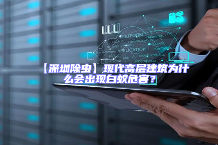 【深圳除蟲】現代高層建筑為什么會出現白蟻危害？