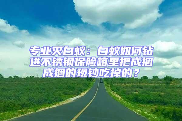 專業(yè)滅白蟻:白蟻如何鉆進不銹鋼保險箱里把成捆成捆的現(xiàn)鈔吃掉的?
