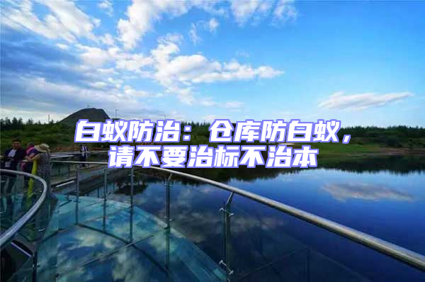 白蟻防治：倉庫防白蟻，請不要治標(biāo)不治本