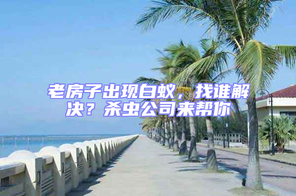 老房子出現白蟻,找誰解決?殺蟲公司來幫你