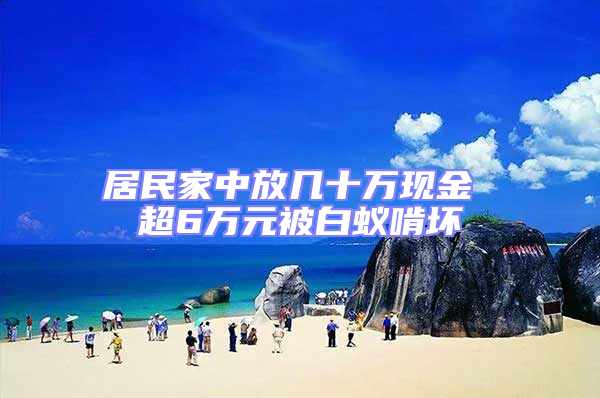 居民家中放幾十萬現(xiàn)金 超6萬元被白蟻啃壞