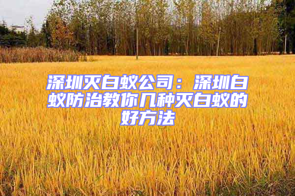 深圳滅白蟻公司:深圳白蟻防治教你幾種滅白蟻的好方法