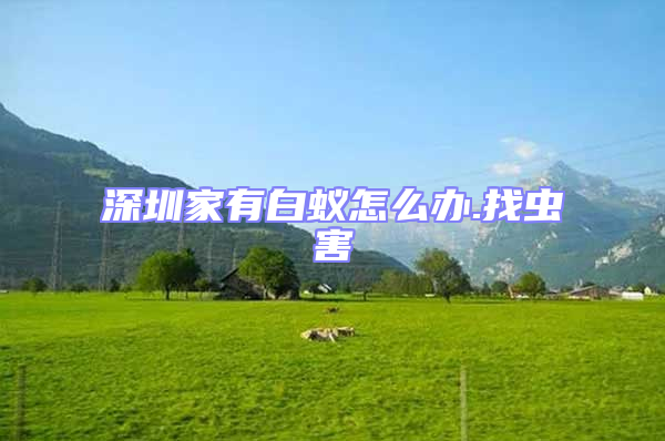 深圳家有白蟻怎么辦.找蟲害