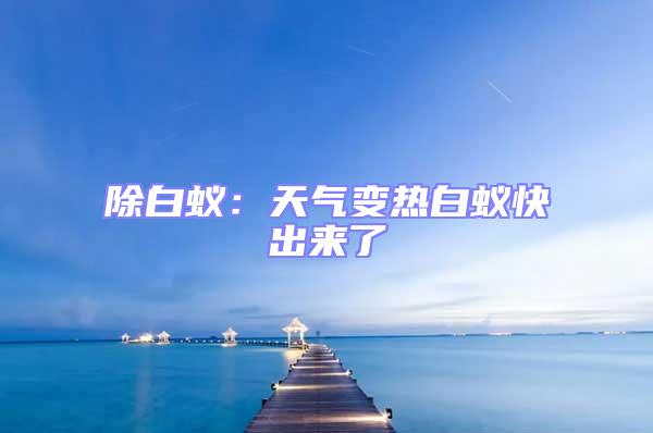 除白蟻：天氣變熱白蟻快出來(lái)了