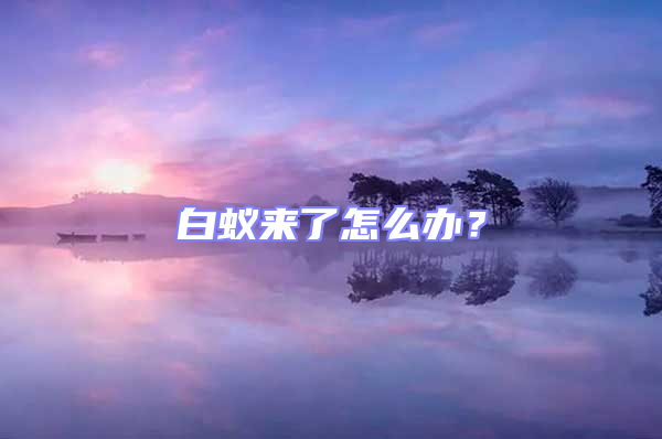 白蟻來(lái)了怎么辦？