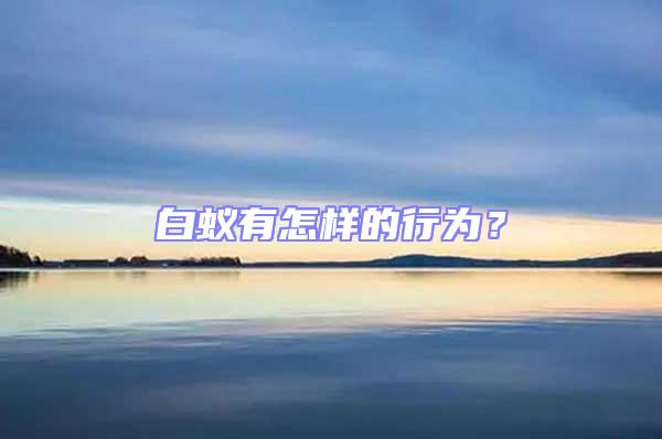 白蟻有怎樣的行為?
